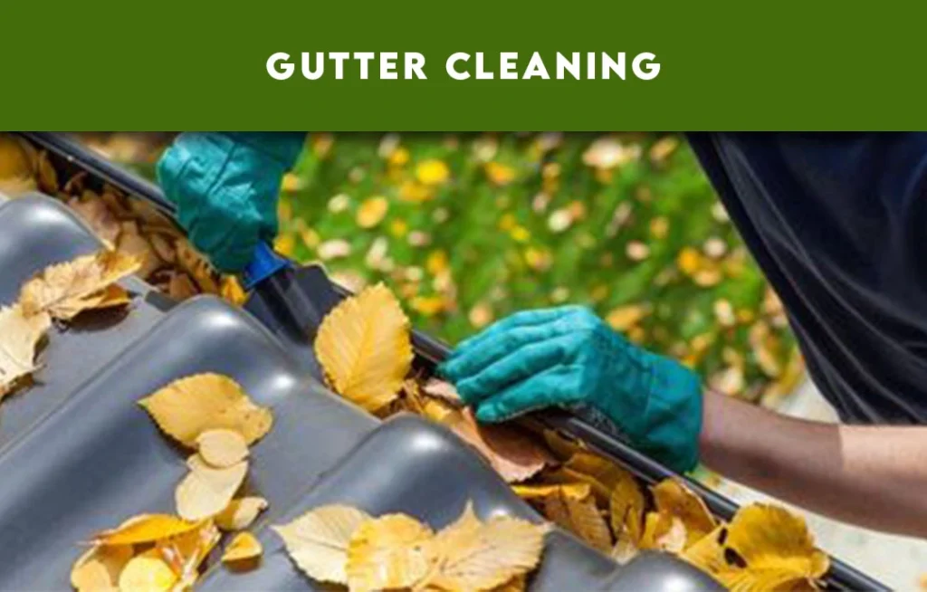 Gutter-Cleaning